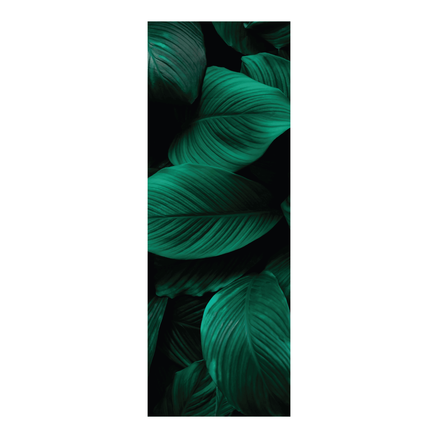  Termoarredo idraulico 150x51 cm interasse mm 50 Modello 'Leaf' Termocrea by CeramicStore | Lo specialista del tuo bagno